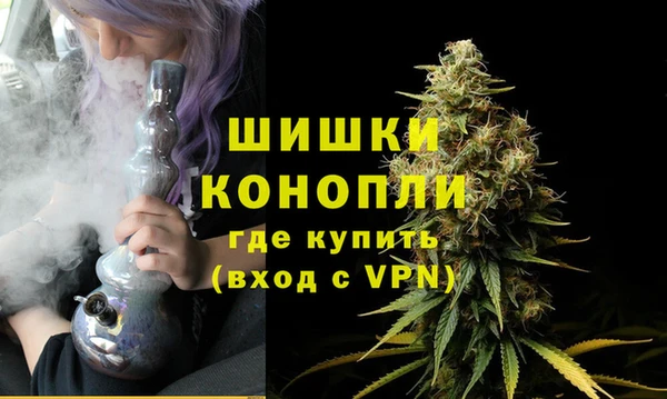 дживик Балахна