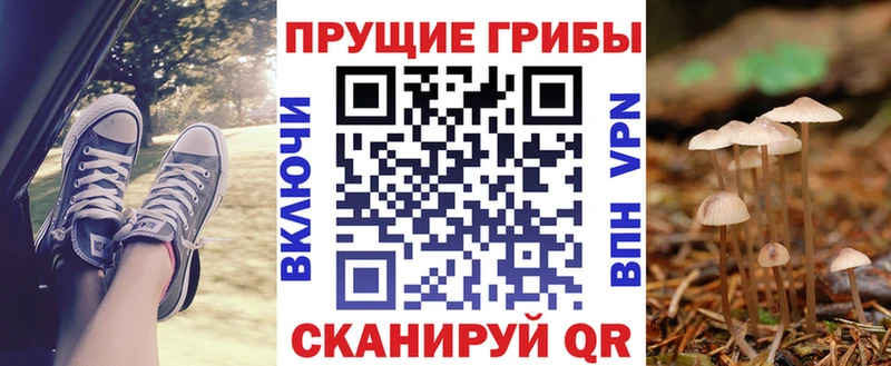 Галлюциногенные грибы Cubensis Белая Калитва