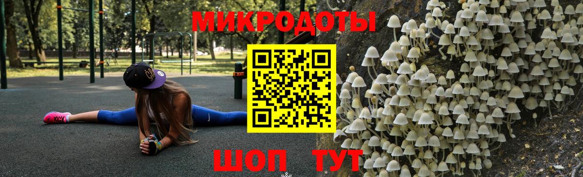 Псилоцибиновые грибы прущие грибы  Вход с VPN  где найти   Белая Калитва 
