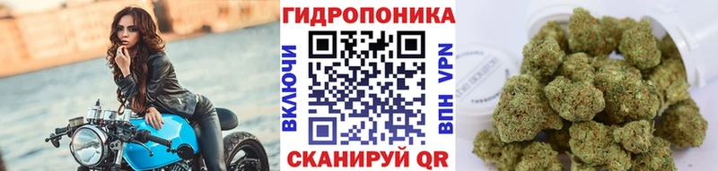 Марихуана ГИДРОПОН  где купить наркоту  Белая Калитва 